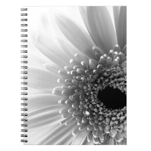 Carnet Gerbera marguerite (Devant)
