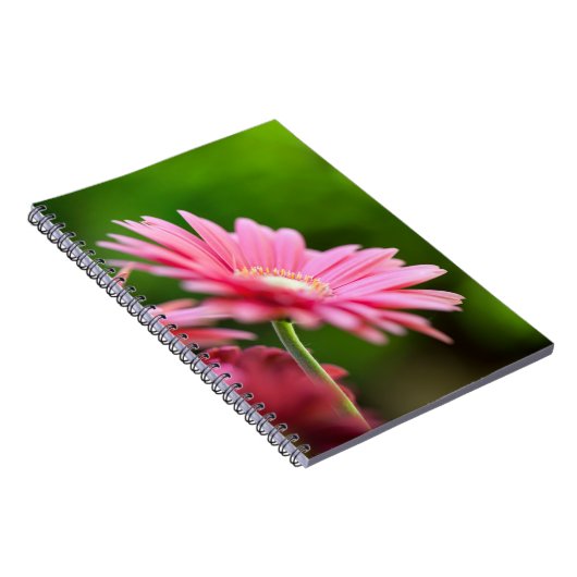 Carnet Gerbera Rose Daisy (Côté Droit)
