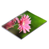 Carnet Gerbera Rose Daisy (Côté gauche)