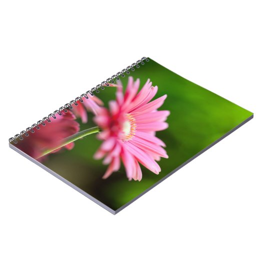 Carnet Gerbera Rose Daisy (Côté gauche)