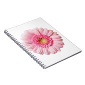 Carnet Gerbera Rose Daisy (Côté Droit)
