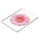 Carnet Gerbera Rose Daisy (Côté gauche)
