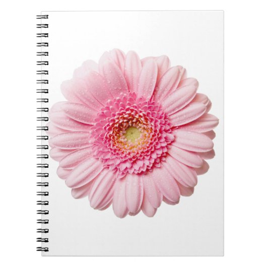 Carnet Gerbera Rose Daisy (Devant)