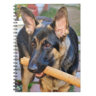 Carnet German Shepherd by Shirley Taylor