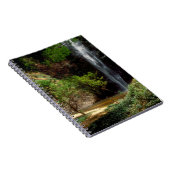 Carnet Ghana : Wli Falls, alias Chutes d'Agumatsa (Volta) (Côté Droit)