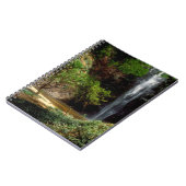 Carnet Ghana : Wli Falls, alias Chutes d'Agumatsa (Volta) (Côté gauche)