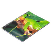 Carnet Giant Bicolor Monkey Treefrog, Phyllomedusa (Côté gauche)