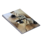 CARNET GIBBON (Côté Droit)