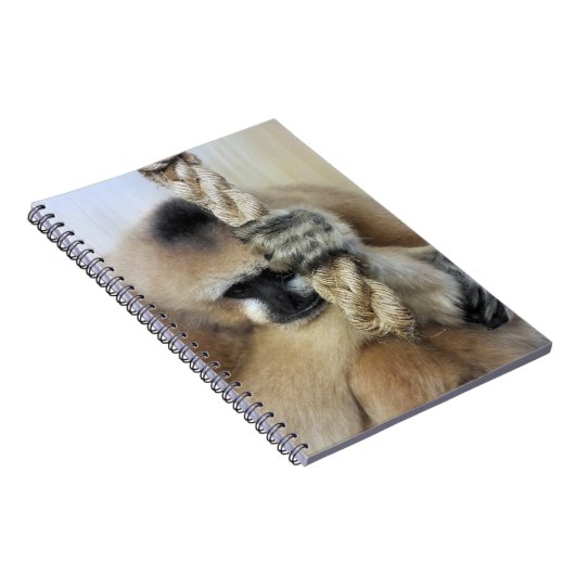 CARNET GIBBON (Côté Droit)