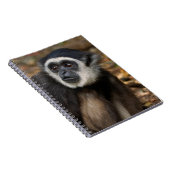 Carnet Gibbon (Hylobates Lar) à poitrine blanche, singe (Côté Droit)