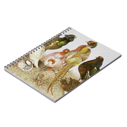 Carnet Gibier à plumes (Côté gauche)