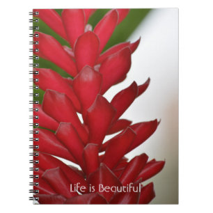 Carnet Gingembre Rouge Floral Kauai (ma photographie)