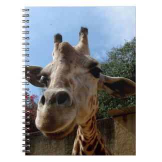 Carnet Girafe