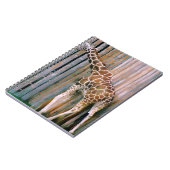 carnet girafe (Côté gauche)