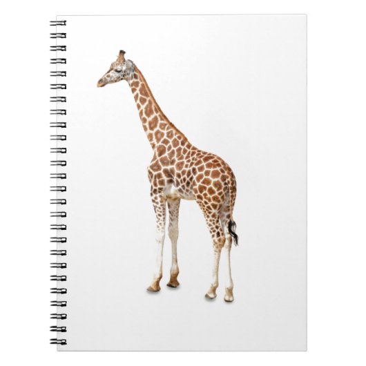 Carnet Girafe à long cou (Devant)