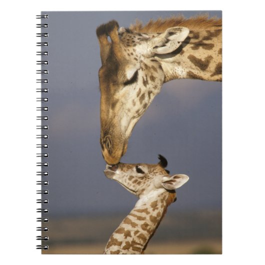 Carnet Girafe embrassant un bébé girafe (Devant)