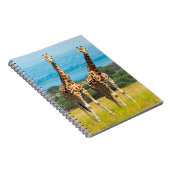 Carnet Girafes dans la savane, Ouganda (Côté Droit)