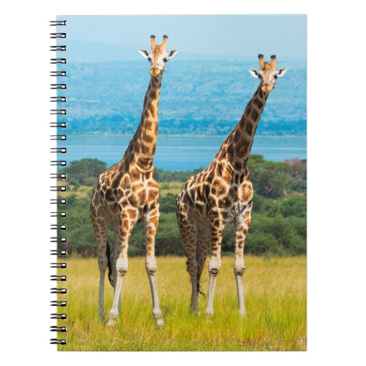 Carnet Girafes dans la savane, Ouganda (Devant)