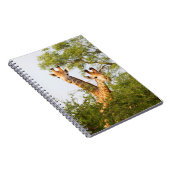 Carnet Girafes dépassant de la végétation (Côté Droit)