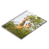 Carnet Girafes dépassant de la végétation (Côté gauche)