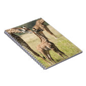 Carnet Girafes maasaï, Giraffa camelopardalis 2 (Côté Droit)