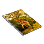 Carnet Girafes sud-africaines (Côté Droit)