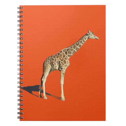 Carnet Giraffe (Devant)