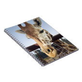 Carnet Giraffe (Côté Droit)