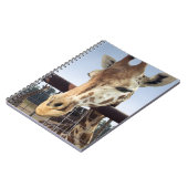 Carnet Giraffe (Côté gauche)