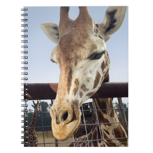 Carnet Giraffe (Devant)