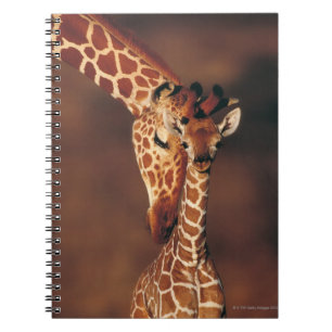 Carnet Giraffe adulte avec veau (Giraffa camelopardalis)