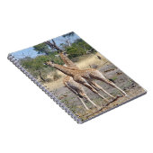 Carnet Giraffe Babies spirale carnet/journal (Côté Droit)