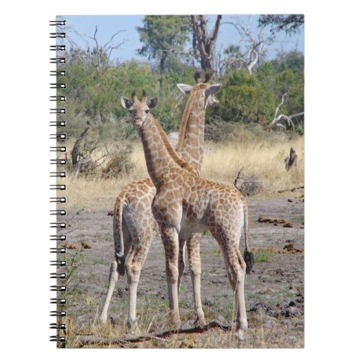 Carnet Giraffe Babies spirale carnet/journal (Devant)