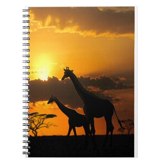 Carnet Giraffe Famille 2 (Devant)