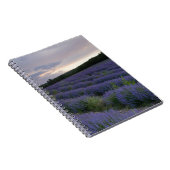 Carnet Gisement de lavande au coucher du soleil (Côté Droit)