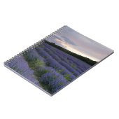 Carnet Gisement de lavande au coucher du soleil (Côté gauche)
