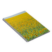 Carnet Gisement jaune de tournesol (Côté Droit)