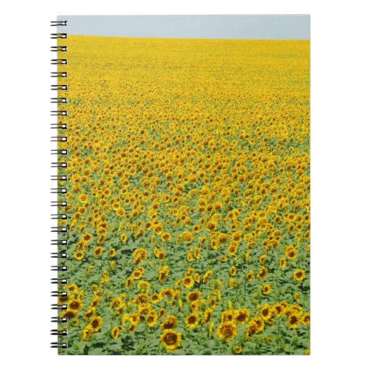 Carnet Gisement jaune de tournesol (Devant)