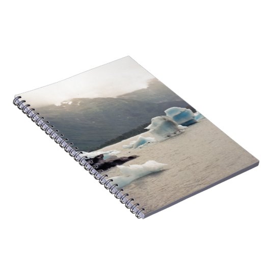 Carnet Glace bleue (Côté Droit)