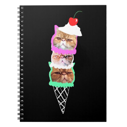 Carnet glace CreAmz du DA (Devant)