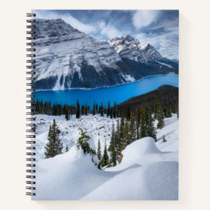 Carnet Glace et neige   Lac Peyto, Rocheuses canadiennes