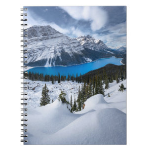 Carnet Glace et neige   Lac Peyto, Rocheuses canadiennes