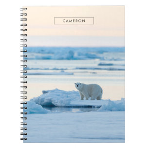 Carnet Glace et neige Ours polaire Iceberg Norvège