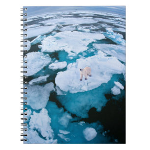 Carnet Glace et neige   Ours polaire, Océan Arctique, Sva