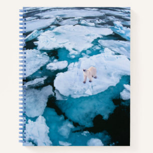 Carnet Glace et neige   Ours polaire, Océan Arctique, Sva
