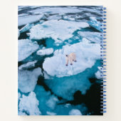 Carnet Glace et neige | Ours polaire, Océan Arctique, Sva (Dos)