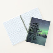 Carnet Glace et neige | Parc national de Pallas-Yllastunt (Intérieur)