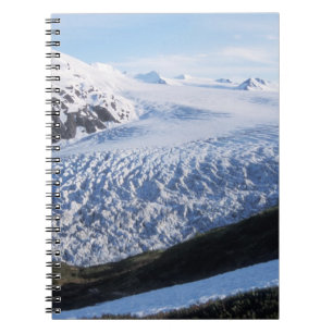 Carnet Glacier Exit dans le parc national des fjords de K