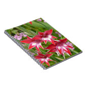 Carnet Gladiolas rouge et blanc Botanique d'été (Côté Droit)