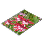 Carnet Gladiolas rouge et blanc Botanique d'été (Côté gauche)